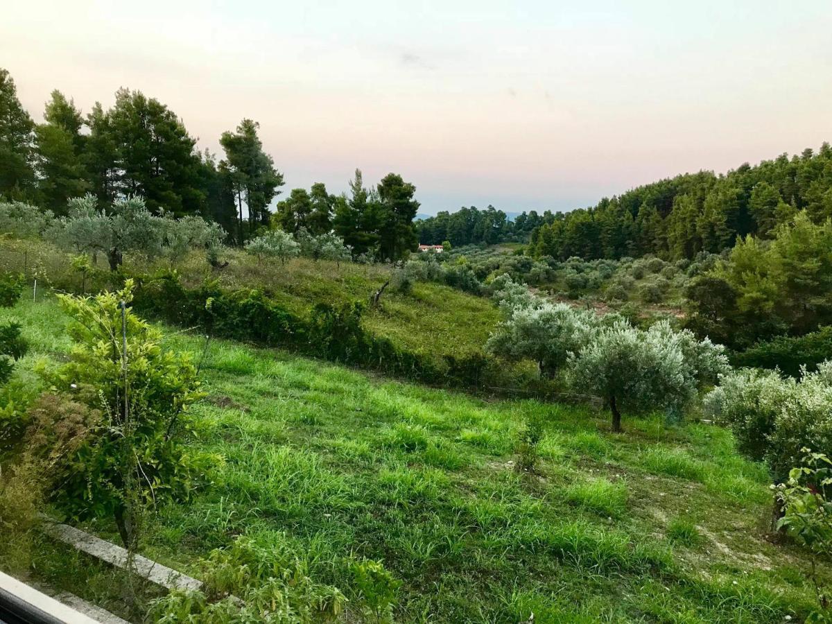 Wildherb House Agriovotano 외부 사진