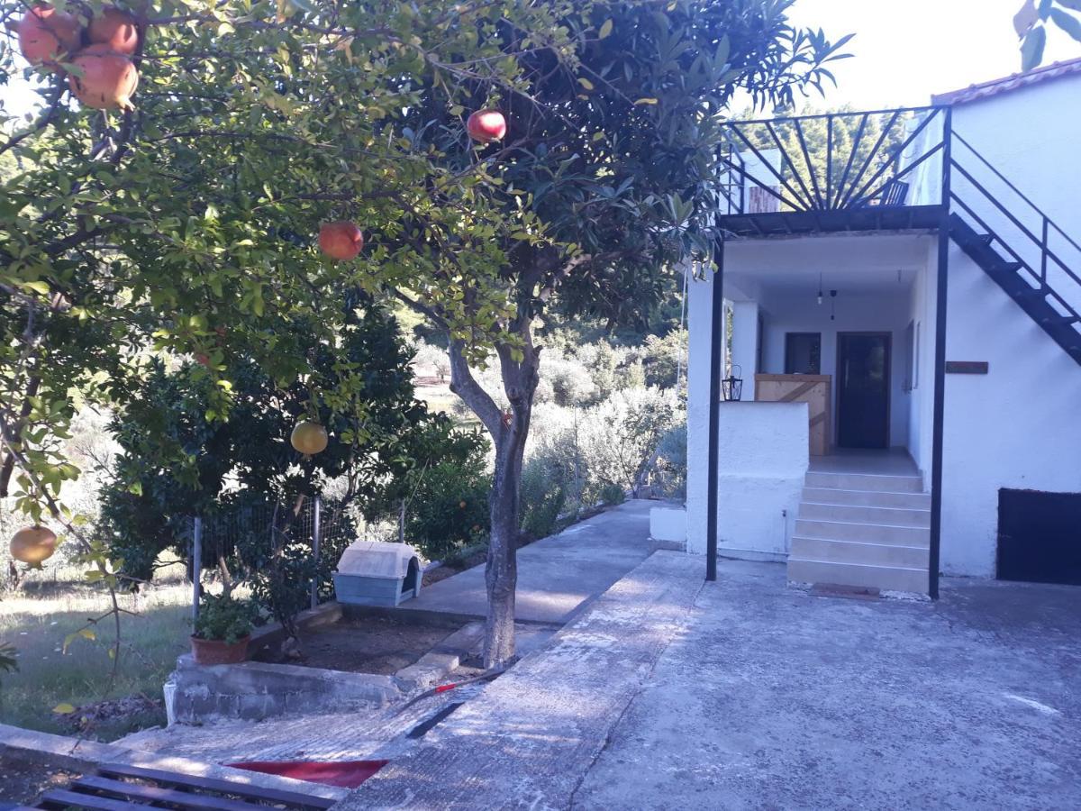 Wildherb House Agriovotano 외부 사진